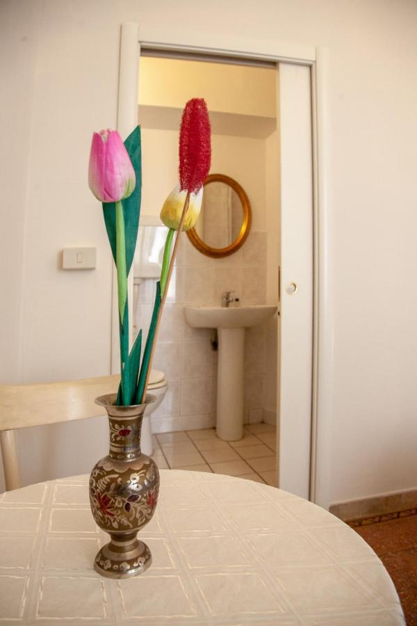 Le Violette Otel Lucca Dış mekan fotoğraf